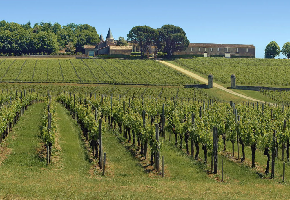 Compte-rendu de l'assemblée générale du 11 juin 2024